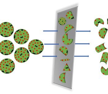 NEW Case Study: Quantification of the Removal and Inactivation of Virus Particles