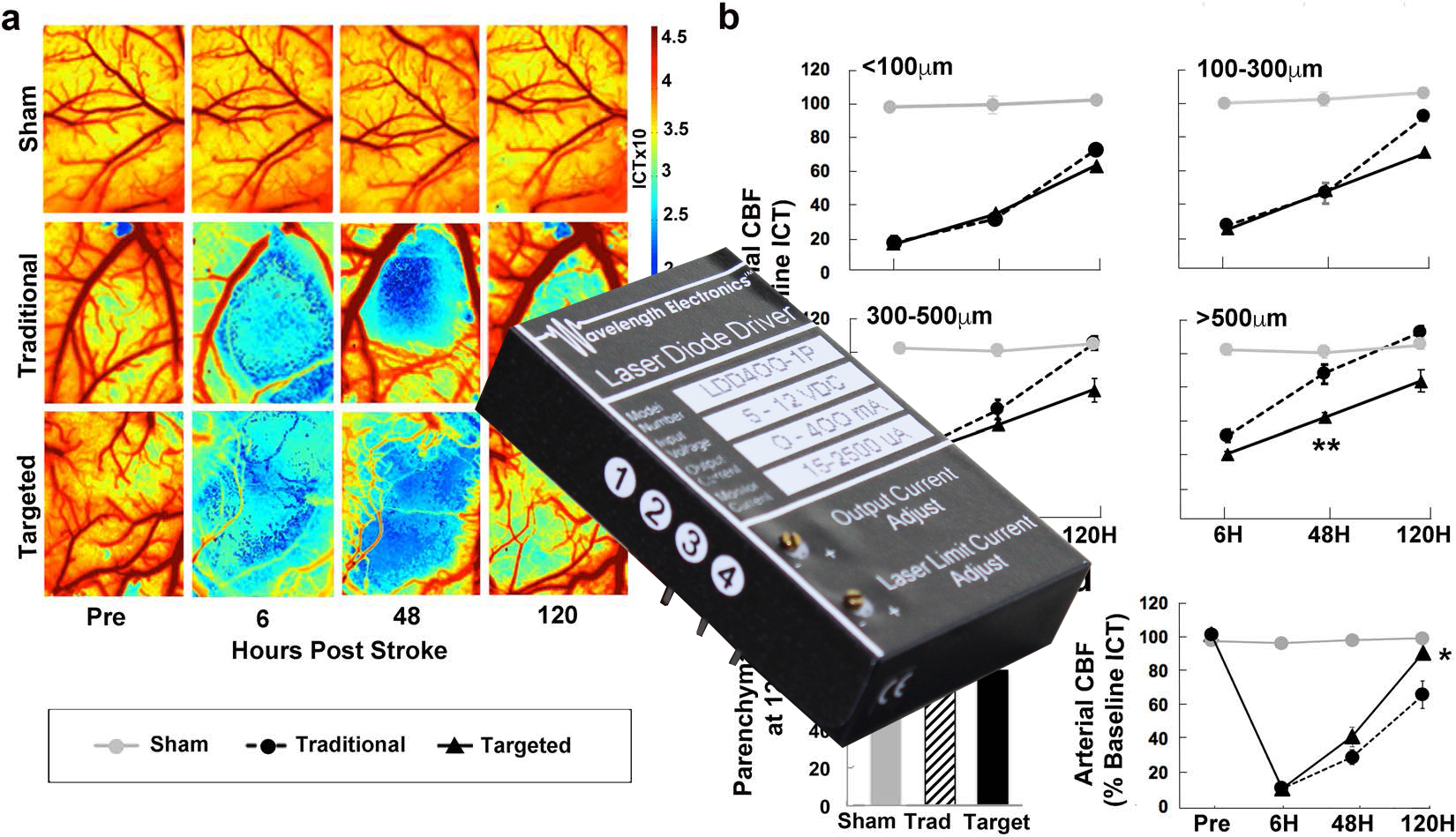 Case Study on Artery-Targeted Photothrombosis