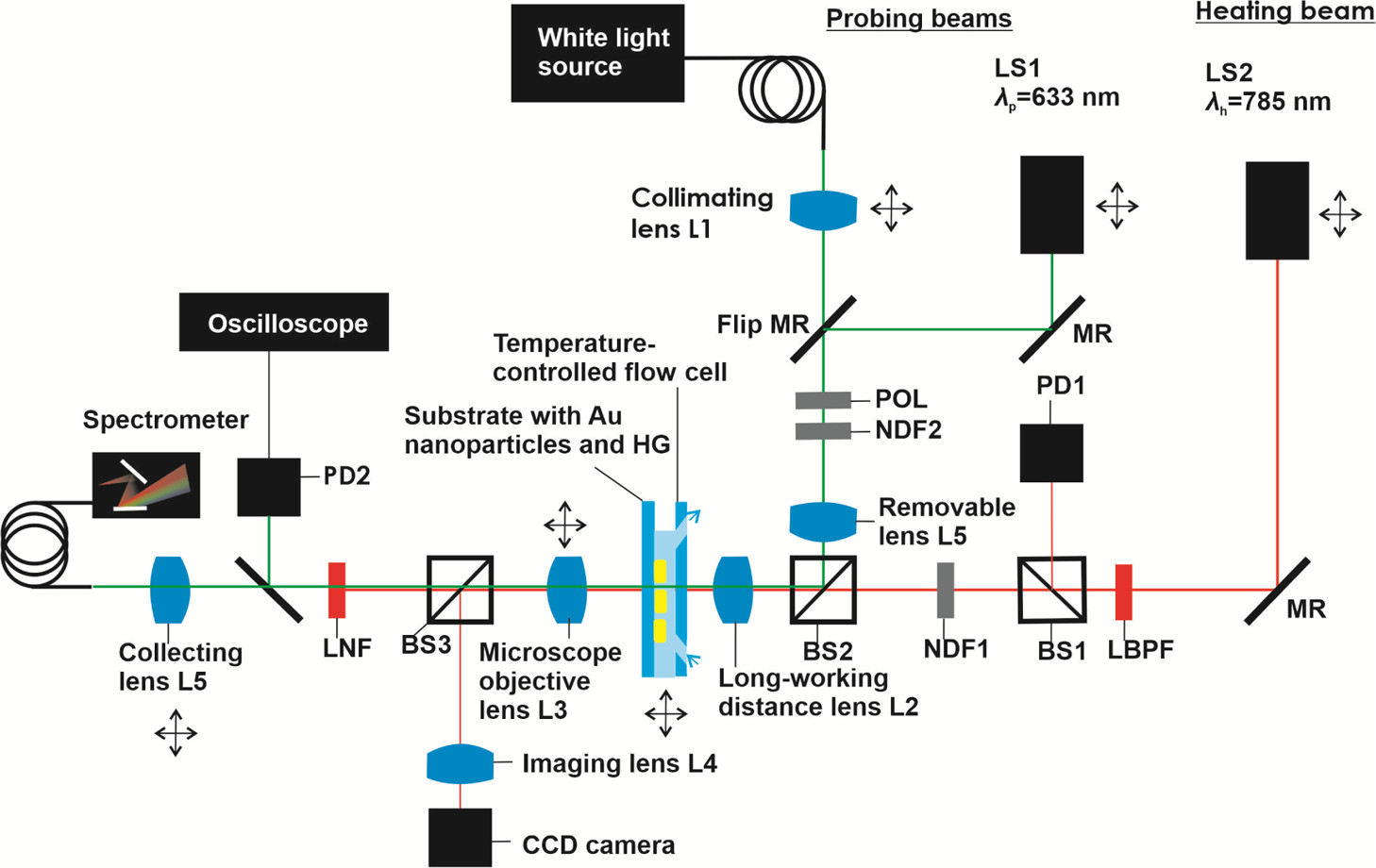 CS-TC06: Polymer Setup